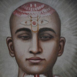 gopalanand-swami-torda (23)           