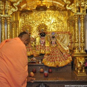 Swaminarayan-bhagvan-shanghar-darshan (13)  