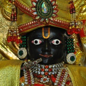 Swaminarayan-bhagvan-shanghar-darshan (14)  
